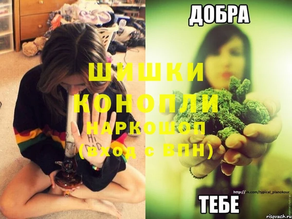 марихуана Абаза
