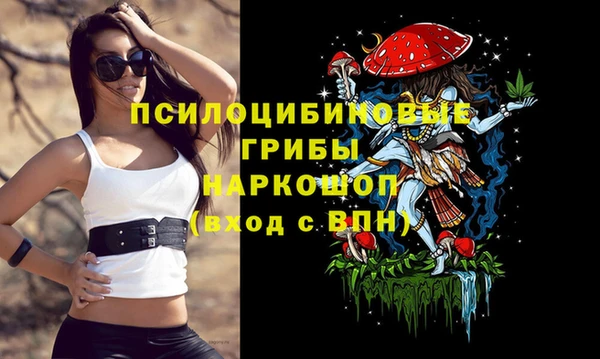 марихуана Абаза