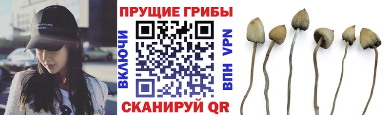 Галлюциногенные грибы мухоморы где можно купить Юхнов